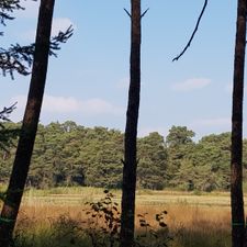 Golfclub Lauswolt