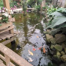 Pantropica (voorheen de Orchideeën Hoeve)