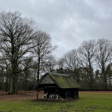 De Spaarbankhoeve