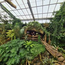 Pantropica (voorheen de Orchideeën Hoeve)
