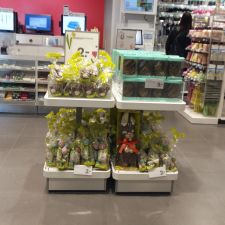 HEMA