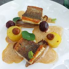 Noble Gastro House
