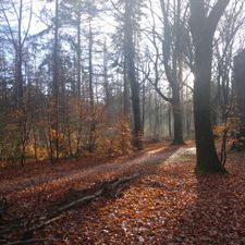 Golfclub Lauswolt