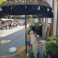 Normal Haarlem