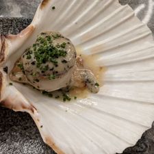 Ichi Asian Fusion Cuisine