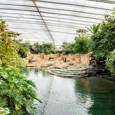 WILDLANDS Adventure Zoo Emmen
