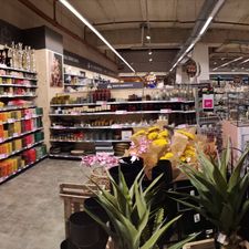 Xenos Maassluis