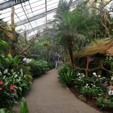 Pantropica (voorheen de Orchideeën Hoeve)