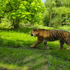 Burgers' Zoo