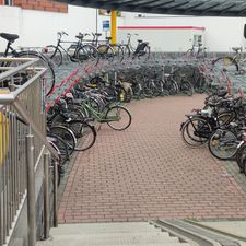 Xenos Oosterhout