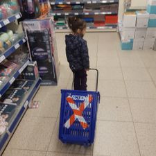 Action Haarlem