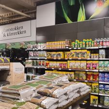 Intratuin Duiven