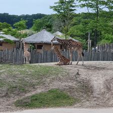 Q-Park Wildlands