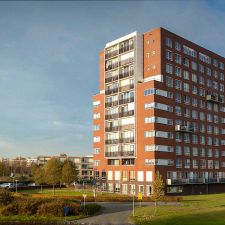 Action Lelystad