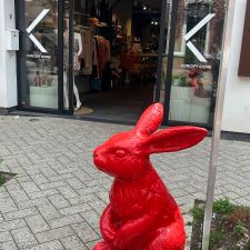 Anne&Max Eindhoven Kleine Berg