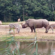 Burgers' Zoo