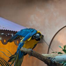 Center Parcs Limburgse Peel