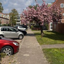 Kruidvat