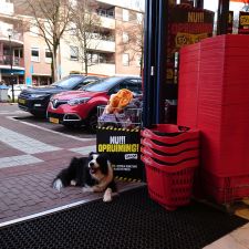 Kruidvat