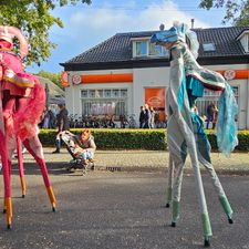 Expert Zuidlaren