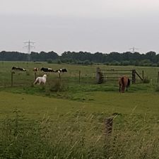 haan tankstation Groenekan