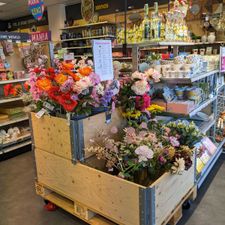 Xenos Doetinchem