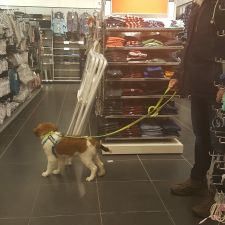 HEMA