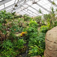 Pantropica (voorheen de Orchideeën Hoeve)