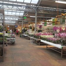 Tuincentrum Almeerplant