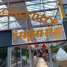 Action Lelystad