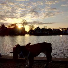 DekaMarkt Zaandam