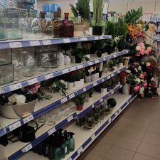 Action Utrecht Plantage