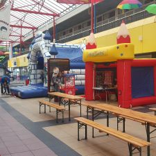 Action Lelystad