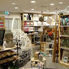 Xenos Dokkum