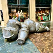 ANWB winkel Utrecht Leidsche Rijn