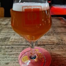 Bossche Brouwers aan de Vaart