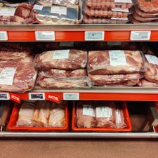 Makro Delft