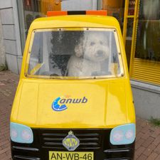 ANWB winkel