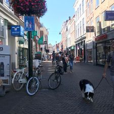 Pearle Opticiens Delft