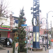 Kruidvat
