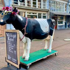 The Tosti Club Rotterdam