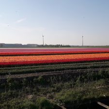 TotalEnergies Zeewolde ZZ