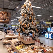 Makro Nijmegen
