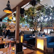 Bar & Restaurant Suzie Q