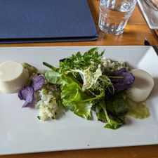 Verboden Toegang Restaurant Artikel 461