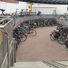 Xenos Oosterhout