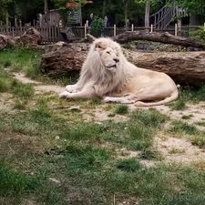 Ouwehands Dierenpark