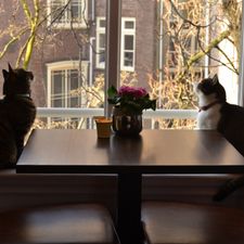 Clemens Hotel Amsterdam