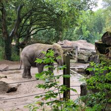 Diergaarde Blijdorp