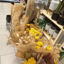Xenos Schiedam